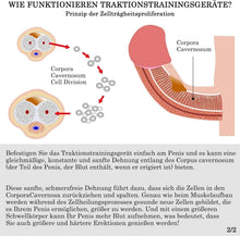 Load image into Gallery viewer, Erektionshilfe Penis Extender Physische Penisverlängerung